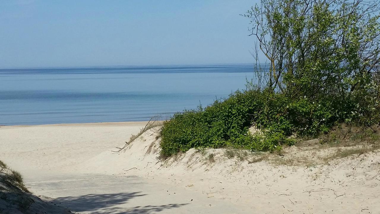 Frejos Apartamentai - Centras Palanga Eksteriør billede